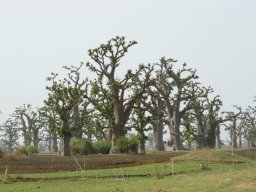 267995_10150259148044901_1778332_n